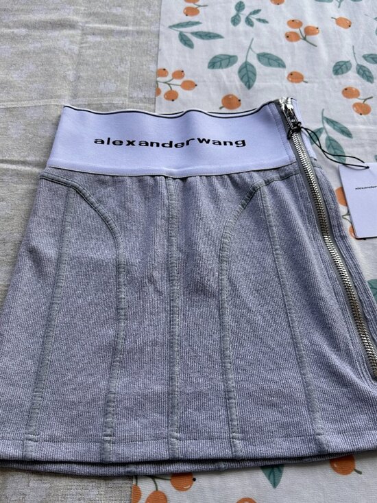 Alexander Wang Dresses & Skirts - Alexander Wang Gray Corduroy Mini Skirt With Side Zipper